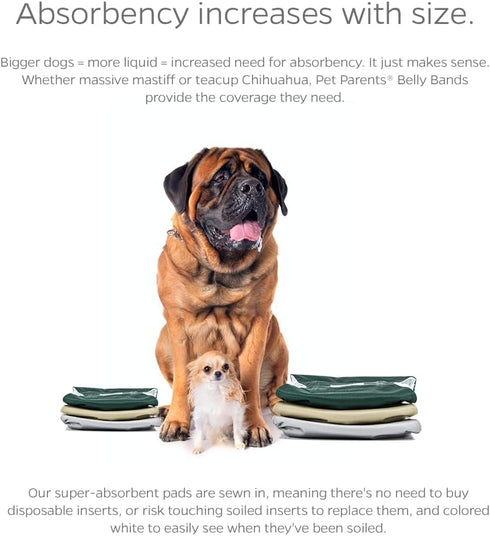 Pet Parents Premium Washable Belly Bands, 3 Pack Male Dog Diapers & Belly Bands, Extra Small Spruce Color