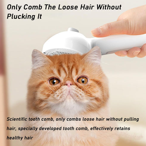 Generic 3 1 (1*black) Shower Brush Bathing Kit, Dog Shampoo Brush, In Pet Grooming Comb With Electronic Mist Spray