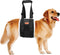 Adjustable Dog Sling Harness for Large Dogs, Soft Lift Support for Weak Rear Legs, Rehab for Senior and Injured Dogs