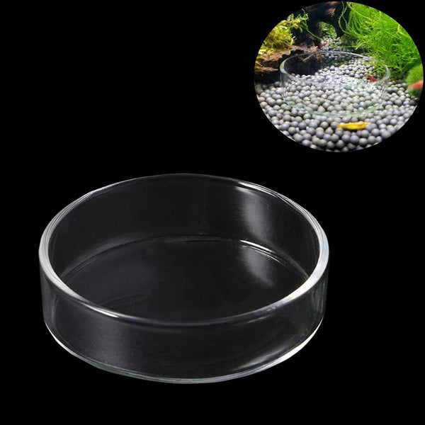 1PCS 60mm/65mm Aquarium Shrimp Feeding Dish, Glass Round Fish Feeder Bowl for Reptiles Water Food Clear Dishes Tray
