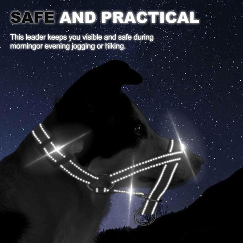 Dog Head Collar with Reflective Strap, Adjustable to Stop Pulling for Small Medium Large Dogs (M, Blue)