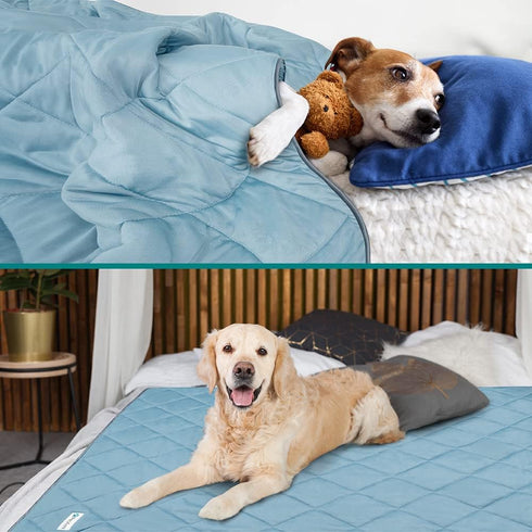 PetAmi Premium Cooling Dog Blanket, Lightweight Fluffy Pet Throw Blanket for Dogs, Cats, Puppies, Reversible Furniture