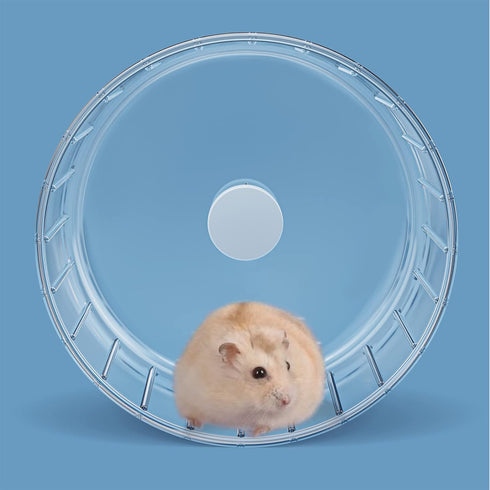 BUCATSTATE Silent Hamster Wheel, 5.5in Exercise Wheel for Gerbil, Dwarf, Syrian Hamster, Rat, Mice