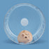 BUCATSTATE Silent Hamster Wheel, 5.5in Exercise Wheel for Gerbil, Dwarf, Syrian Hamster, Rat, Mice