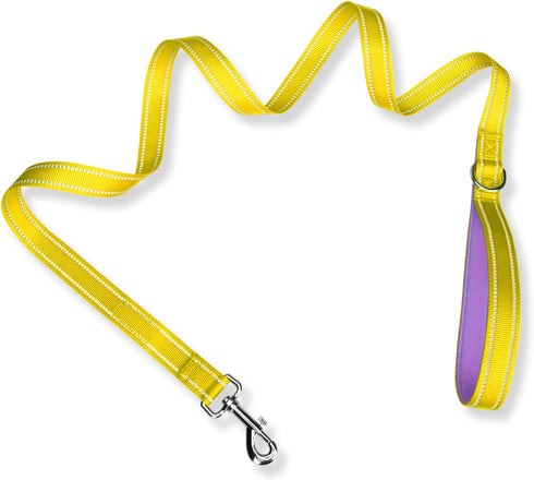 PHOEPET 5 Feet Dog Leash - Soft Padded Handle, Dual-Side Reflective, Fit for Hiking, Training, Camping (Yellow + Baby