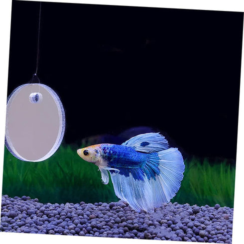 Beta Fish Tank Accessories Set, 1 Betta Training Mirror Double Sided Acrylic Float 6cm