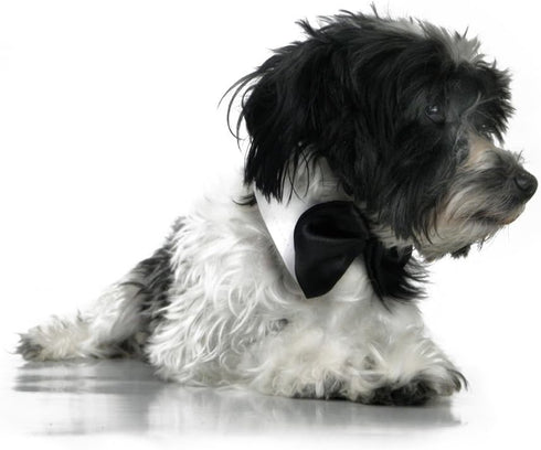 Platinum Pets Formal Dog Bow Tie Collar, Black & White