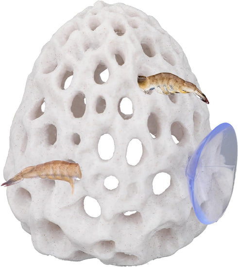 Penitue Shrimp Hides for Aquarium, Multi-Hole Shrimp Dome Hide with Suction Cup Coral