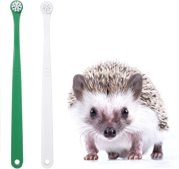 Mini Pet Toothbrush Mini Head Soft Bristles Gentle Pet Toothbrush for Small