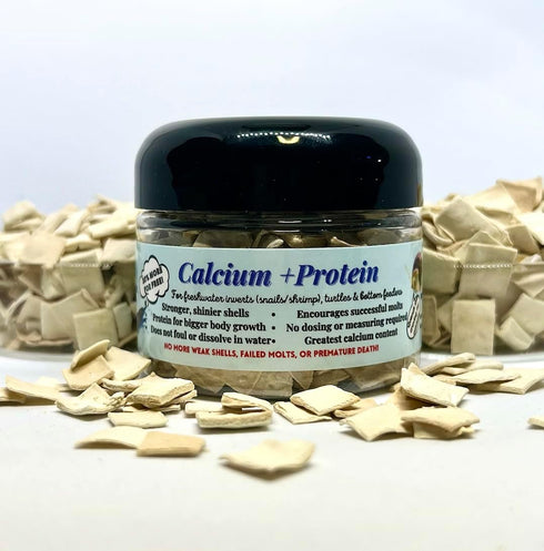 Calcium + Protein Tablets for Picky Eaters - Snails, Shrimp, Bottom Dwelling Fish, Plecos, Crabs, and More!