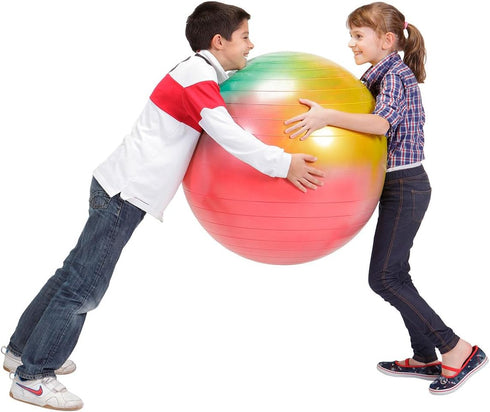 (55 cm) Gymnic Arte Plus Burst-Resistant Exercise Ball