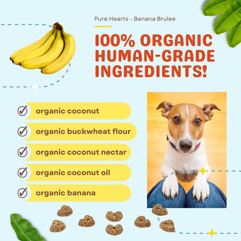 CocoTherapy 3 Pack of Banana Brulee Pure Hearts Coconut Cookies, 5 Ounces Each, Organic Dog Treats Made in USA