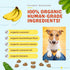 CocoTherapy 3 Pack of Banana Brulee Pure Hearts Coconut Cookies, 5 Ounces Each, Organic Dog Treats Made in USA