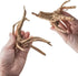 8 Pack Natural Driftwood - Aquarium Decor Spider Wood for Freshwater Fish Tank, Reptile Driftwood Branch (4"-6")