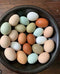 Generic 10+ Premium Fresh & Fertile Chicken Hatching Eggs Rainbow Assortment Mix, Tater's