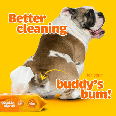 Heavy Dootie Wipes - Convenient Durable Dog Wipes for Paws and Butt, Mild Citrus Scent, 100 Count
