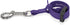 Jelly Pet Safety Dog Tether, Made in the USA, for Pet Grooming