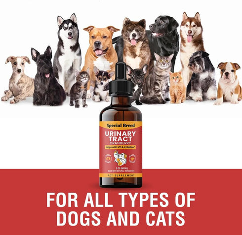 Cranberry UTI Supplement for Cats and Dogs - Urinary Tract Infection Treatment, Kidney and Bladder Support, 2 oz