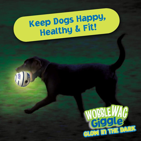 Wobble Wag Giggle Ball, Interactive Glow in the Dark Dog Toy for Self Play and Entertainment