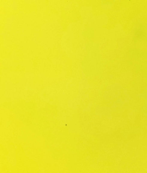 US Marine Products LLC Fluorescent Lobster Buoy Paint Saturn Yellow Quart