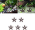 Fish Tank Decorations, 5 Pcs Mini Starfish-Shaped Shrimp Home Fish Tank Shelter Breeding Cave, Brown