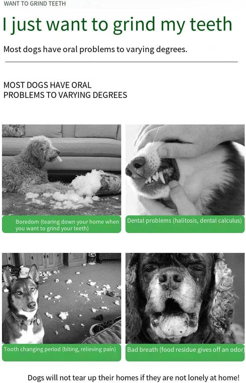 Borenrota Bite n Brush bite and Brush Dental Toy Dog Toys Dog Toothbrush Bites Toys Suitable for Dogs Cats Rabbits