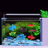 Pssopp Aquarium Fake Fish Decoration, Artificial Blue Goldfish Betta Fish, Small Lifelike Fake Fish Tank Ornaments