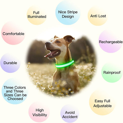 YFbrite Light Up Dog Collar, Full Adjustable Rechargeable LED Safety Glowing Collar for Night (Design 2-Green, Large)