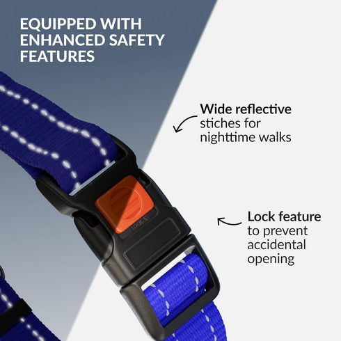 CollarDirect Martingale Dog Collar with Stainless Steel Chain, Reflective Quick Release Buckle for Medium Dogs, Blue