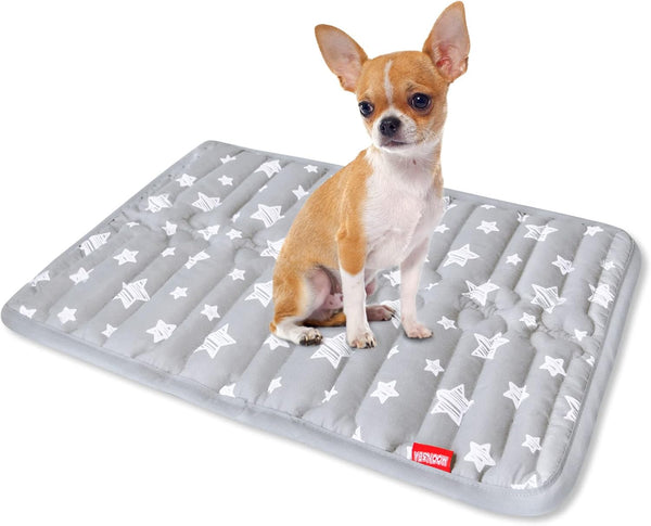Soft Dog Bed Mat with Cute Prints, Dog Crate Mat (21" X 14"), Personalized Dog Crate Pad, Anti-Slip Bottom, Machine