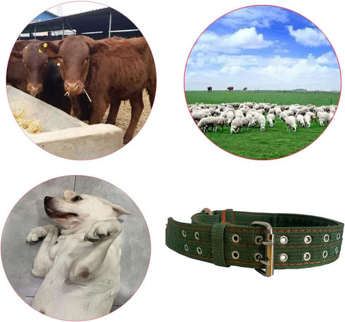 Cattle Collar, Thick Canvas Adjustable Nylon Cow Neck Strap with Cow Bell for Farm Animals (38.5inch)