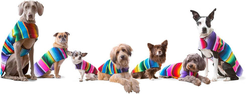 Handmade Dog Poncho for Chihuahua - Cinco De Mayo Costume from Authentic Mexican Blanket (Pink, XXS)
