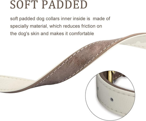 Classic Leather Dog Collar, Adjustable Heavy Duty Pet Collars for Small Medium Large Dogs, Padded Soft and Strong