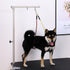 Pet Grooming Loop for Dogs - Fits Most No Sit Haunch Holder Pet Grooming Tubs and Tables Sturdy Steel Wire Rope(3 Packs) (Ring (Red)+No Sit Haunch Holder)