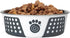PetRageous 15002 Fiji Stainless Steel Non-Slip Dog Bowl, 6.5-Cup Capacity, 8.5-inch Diameter, White & Slate Blue