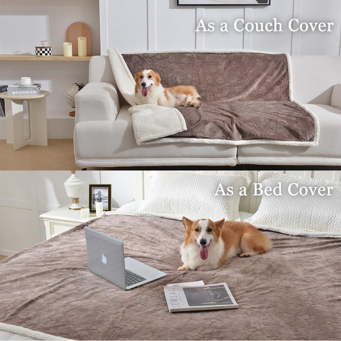 Qeils Dog Blankets for Large Dogs, Waterproof Washable Cat Blanket, Soft Plush Reversible Throw Protector, 60"X80",