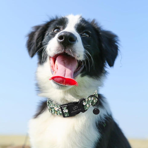 Summer Dog Collar, Lightweight Flower Print Adjustable Pet Collar, Ideal Gift for Boy Girl Dogs