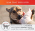 SPOT THE DOG! Reflective Dog Collar - Adjustable Durable Comfortable Collars for Large Dogs, Hunting Dogs (Blaze Orange)