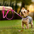 Cute Dazzling Sparkling Soft Suede Leather Bling Rhinestone Pet Collar and Leash Combo Set (S, Hot Pink)