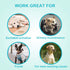 (Pack 26)) Dog Diapers - Absorbent Diapers for Dogs with Leak Protection, Incontinence, Marking (X-Small