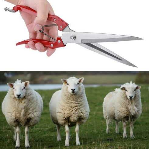 Professional Stainless Steel Sheep Shear: Heavy Duty Safety Sheep Wool Scissor for Grooming Dogs, Cats, and Sheep