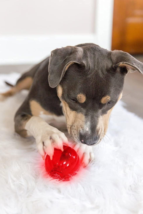 Pet Qwerks Blinky Babble Ball - Flashing Interactive Chew Dog Toy, Medium