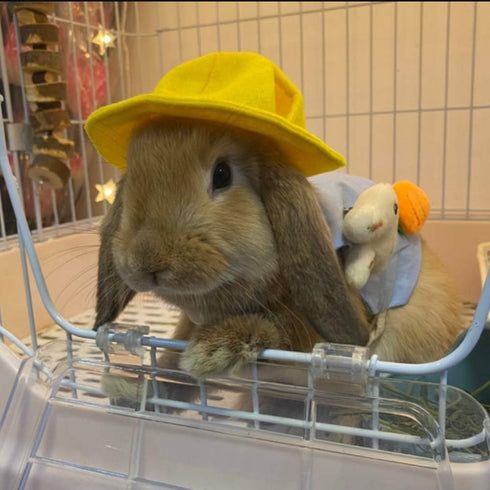 ANIAC Funny Cat Hat for Cat XXS Dog Sun Hat with Ears Hole, Rabbit Outfit for Bunny Mini Sombrero Puppy Hat for Small