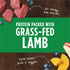 Instinct Raw Boost Mixers, Freeze Dried Dog Food Topper, Grain Free - Grass Fed Lamb, 5.5 oz Bag