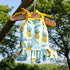 Pet Clothes, Summer Fruit Dog T-Shirt & Skirt Dress for Small Dogs & Cats (M-Back Length 30cm, Pineapple)