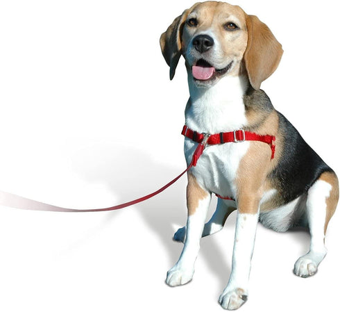 Sense-ible No-Pull Dog Harness, Black, Small