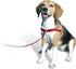 Sense-ible No-Pull Dog Harness, Black, Small