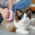 Cat Comb Pet Grooming Tool, Soft Deshedding Brush for Short & Long Hair, 3 Piece Massaging Shell Comb