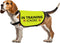 Training Dog Jacket Vest: In Training Ignore Dog Vest with Slogan Warning (Large)
