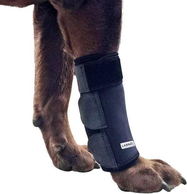 Labra Dog Front Leg Compression Wrap for Hygromas, Lick Granulomas, Pressure Sores, Large/Extra Large